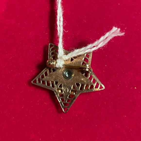 💙💛🤍💚❤️ VINTAGE ORDER OF THE EASTERN STAR PIN ❤️💚🤍💛💙 - Picture 3 of 3